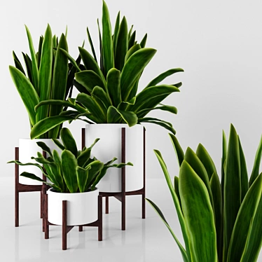 3D Plants Pack - High-Quality Models 3D model image 1 