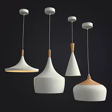 Minimalist Samuel Ceiling Light 3D model image 1 