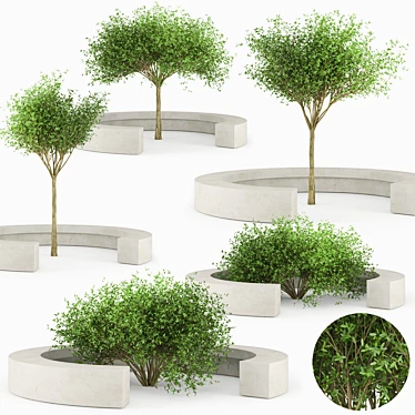 Vora Arquitectura Tree Bench: Combining Natural Beauty 3D model image 1 