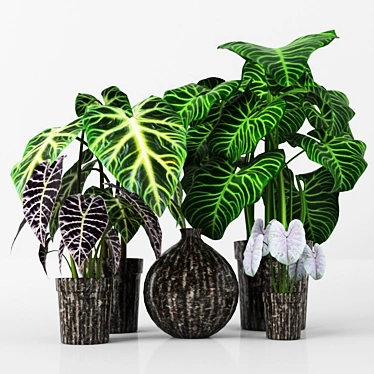 3D Plants Tree Collection 3D model image 1 