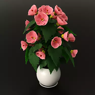  Vibrant Pink Abutylol - 0.4m Plant 3D model image 1 