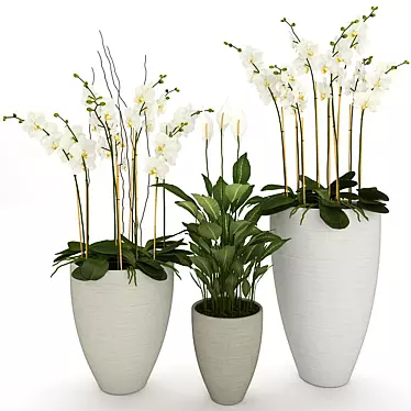 Exotic Beauty: Orchid & Spatiphyllum 3D model image 1 