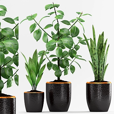 Stunning Plant Trio with Elegant Pot 3D model image 1 