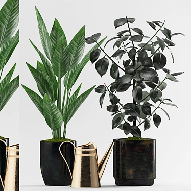 Exotic Foliage Trio: Plant 88 3D model image 1 