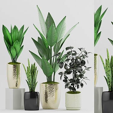 Botanical Plant Set: Black Pot 3D model image 1 