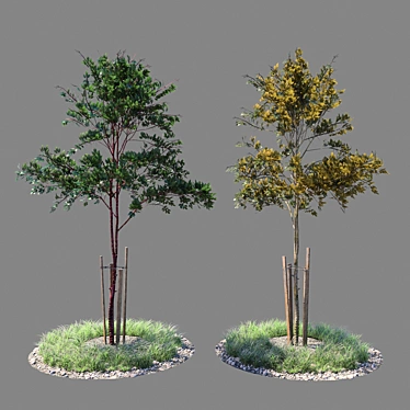  Fresh Sapling Duo 3D model image 1 