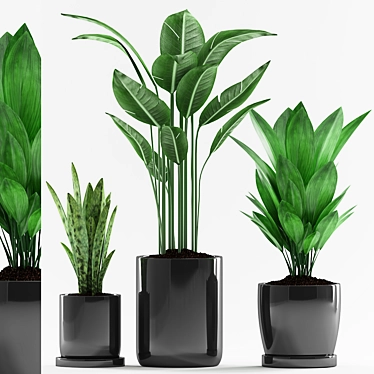 Tropical Trio Potted Plants 3D model image 1 