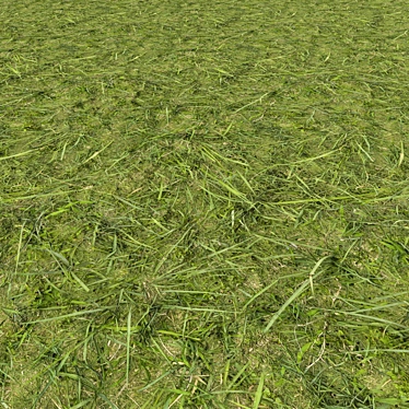 Corona Grass 2: Realistic 3D Scans 3D model image 1 