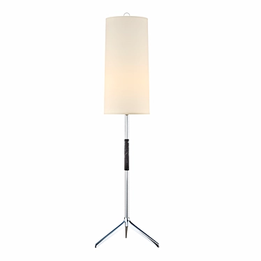Modern Frankfort Floor Lamp: Polished Nickel & Ebony Accents 3D model image 1 