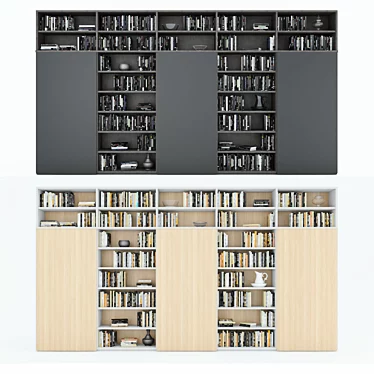 Dual Archive Bookcase 3D model image 1 