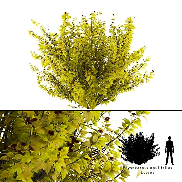 Golden Leaf Bush | Vibrant Shrubbery 3D model image 1 