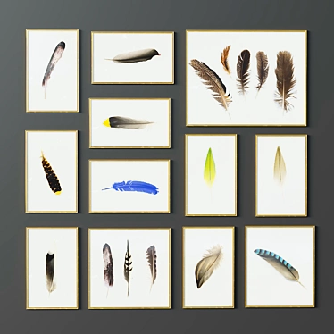 Feathers frames set 