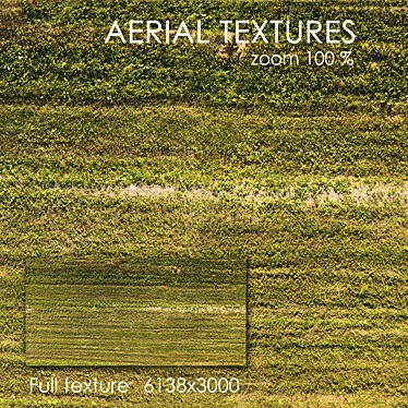 Seamless Aerial Grass Texture 3D model image 1 