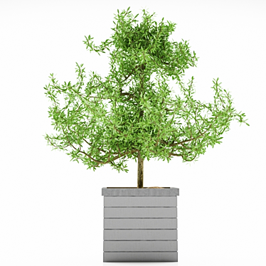 Stylish Plant Stand 3D model image 1 