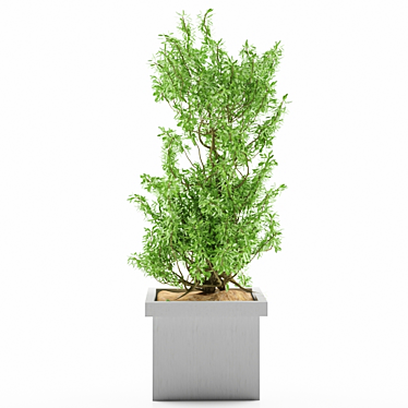 Exquisite Plant 9: Decorative Planter 3D model image 1 