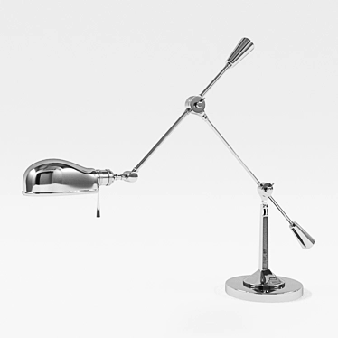 Flexible Arm Desk Lamp 3D model image 1 