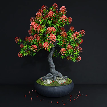 High-performance Ixora coccinea 3D model image 1 