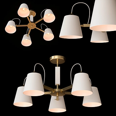 Eurosvet Frozen Ceiling Chandelier - Elegant Lighting Solution 3D model image 1 