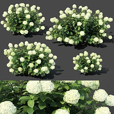 Versatile Hydrangea Arbor #1: 4 Sizes 3D model image 1 