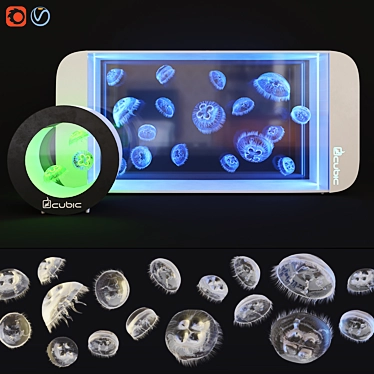 Title: Moon Jellyfish Aquarium Kit 3D model image 1 