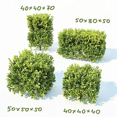 Versatile Buxus Sempervirens Cubes 3D model image 1 