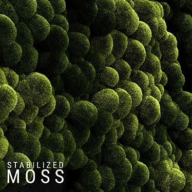 Natural Moss Wall Panel 3D model image 1 