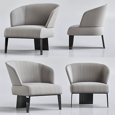 Luxury Minotti Armchair: Style and Comfort 3D model image 1 