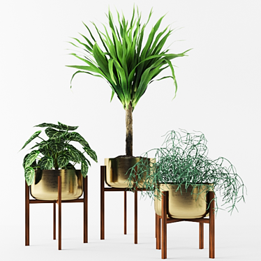 Archived Plants: 3dsmax 2014 + Vray 3.50.04 & FBX.OBJ 3D model image 1 