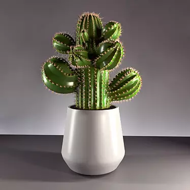 Desert Dream: 2013 Cactus Sculpture 3D model image 1 
