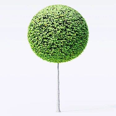 3D Geometric Topiary Trees 3D model image 1 