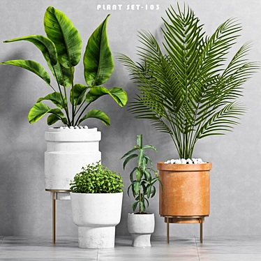 Botanical Bliss: Decorative Planter Set 3D model image 1 