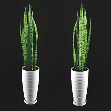 Lush Sansevieria Plant: FBX & OBJ Files 3D model image 1 