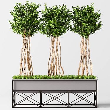 Elegant English Ivy Topiary: Perfect Green Accent 3D model image 1 