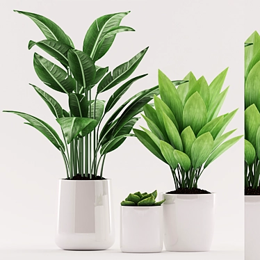 Green Paradise: Aspidistra Plant with White Pot 3D model image 1 