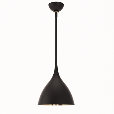 Modern Agnes Small Pendant in Matte Black with Gilded Interior 3D model image 1 