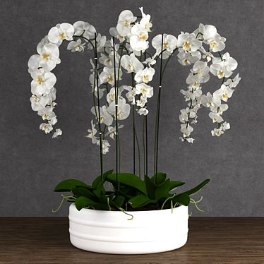 Exquisite Orchid Model 3D model image 1 