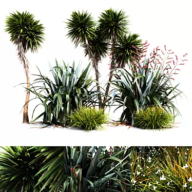 Oceania Plant Trio: Cabbage Tree, Flax & Iris 3D model image 1 