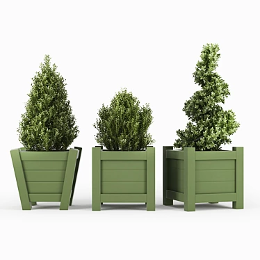 Lush Buxus Green Pot 3D model image 1 