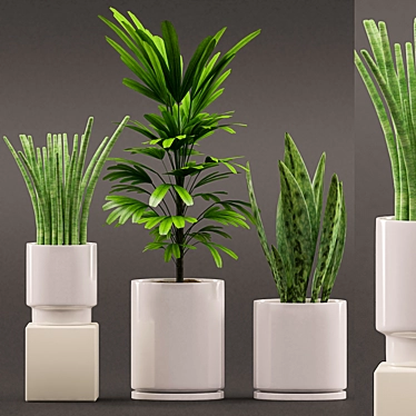 Sansevieria & Palm Combo 3D model image 1 