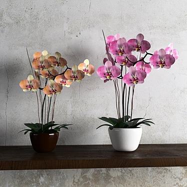 Elegant Orchid Wall Decor 3D model image 1 