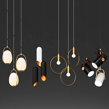 Modern Pendant Lights Collection 3D model image 1 