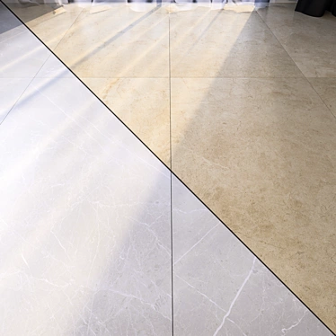 Luxury Marble Floor Set - Vray Material 3D model image 1 