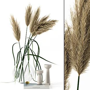 Realistic Pampas Grass Vase 3D model image 1 
