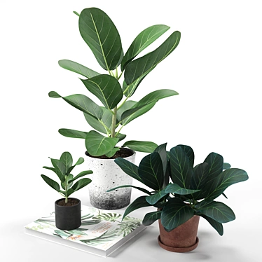 Benghalensis Ficus: Exquisite Potted Plant 3D model image 1 