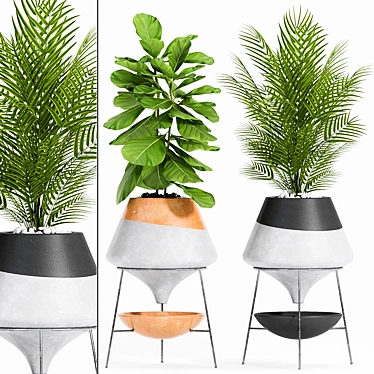 Stylish Plant Set: Decorate with Greenery 3D model image 1 