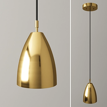 The Betty Brass Pendant Light 3D model image 1 