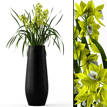 Realistic Cymbidium Orchids in Elegant Floor Vase 3D model image 1 