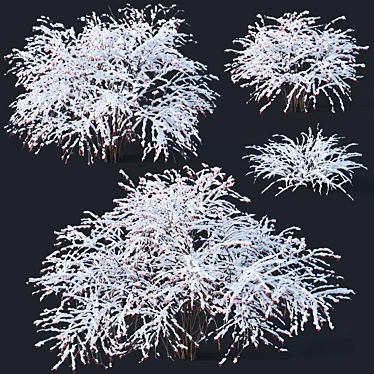 Snow-Covered Berberis Collection 3D model image 1 