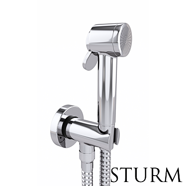 Title: STURM Traum Hygienic Shower, Chrome 3D model image 1 