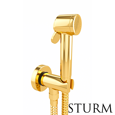 Gold Hygienic Shower Set: STURM Traum 3D model image 1 